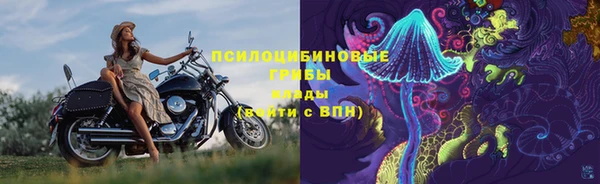 дмт Михайлов