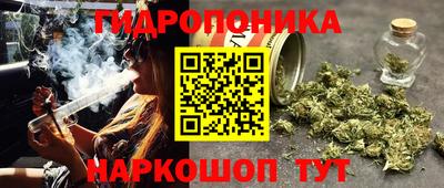 МДПВ Гатчина
