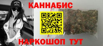 МДПВ Гатчина