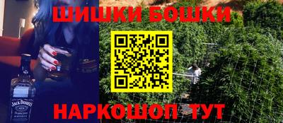 МДПВ Гатчина