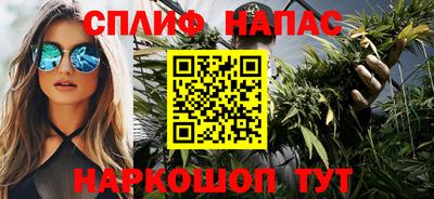 МДПВ Гатчина