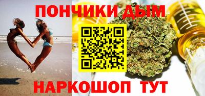 МДПВ Гатчина