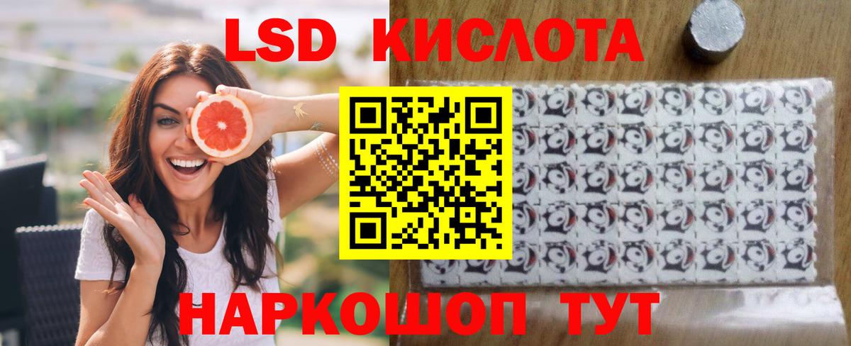 APVP Тамбов