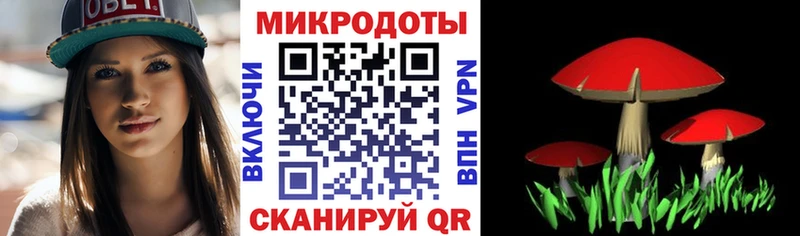 Псилоцибиновые грибы Cubensis  купить  сайты  Тамбов 