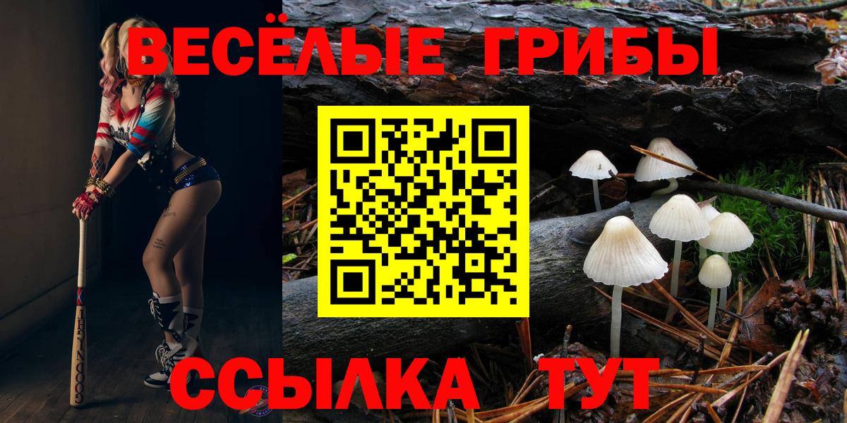 Галлюциногенные грибы Cubensis  Вход с VPN  Тамбов 