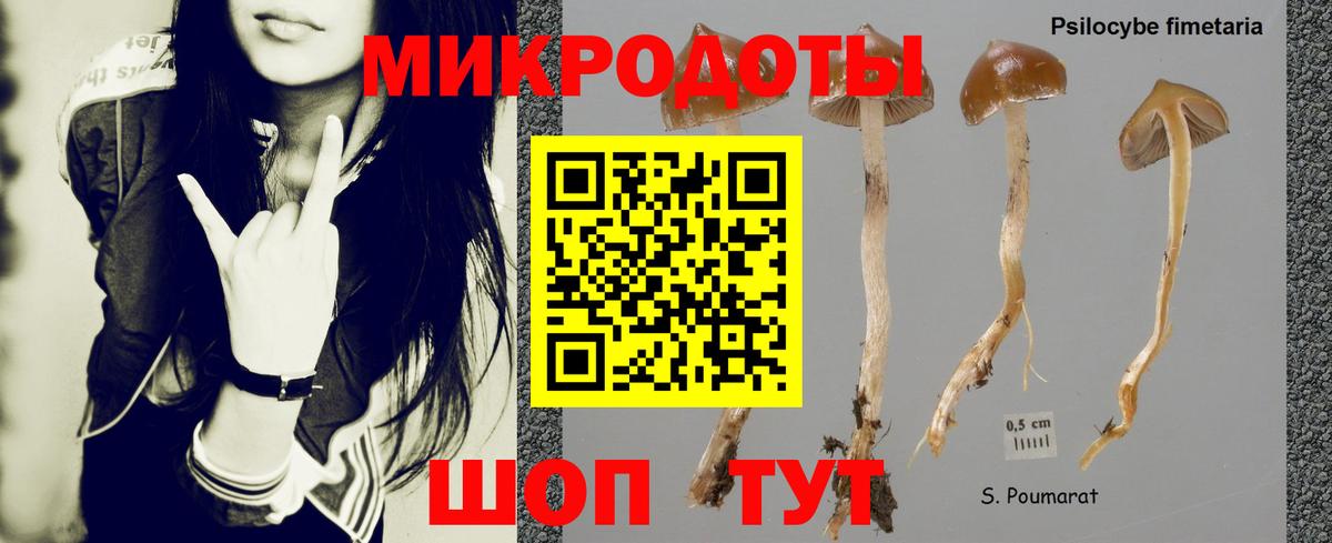 Псилоцибиновые грибы мухоморы Тамбов