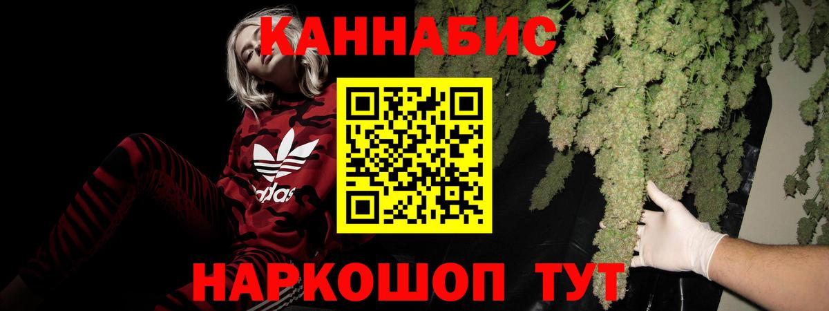 Бошки марихуана ГИДРОПОН  Каннабис VHQ  Канабис THC 21%  Вход с VPN  Тамбов 